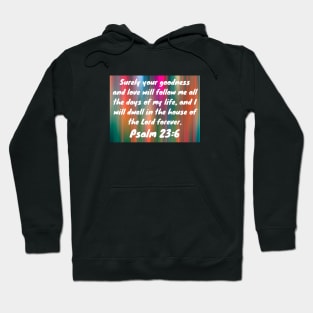 Bible Verse Psalm 23:6 Hoodie